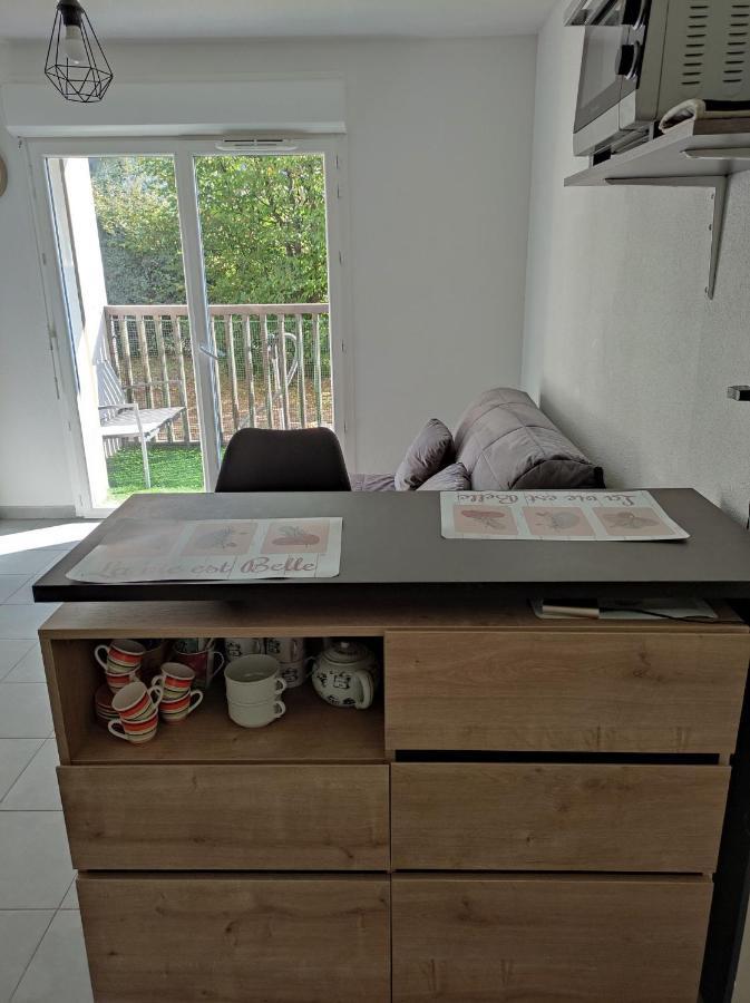 Superbe Appartement En Rez-De-Jardin A Lanton Luaran gambar
